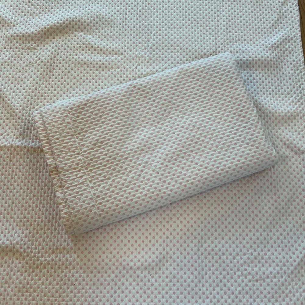 Pottery Barn Kids 2 curtain panels 42x92 EUC